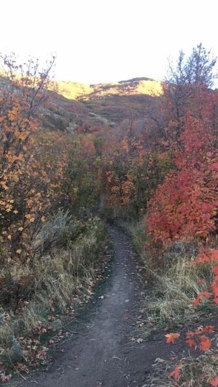Stay & Play In The Little Switzerland Of Utah!!! Draper Exterior foto
